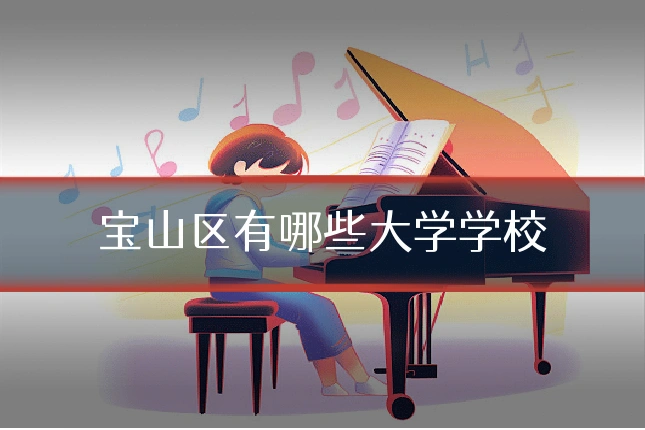宝山区有哪些大学学校