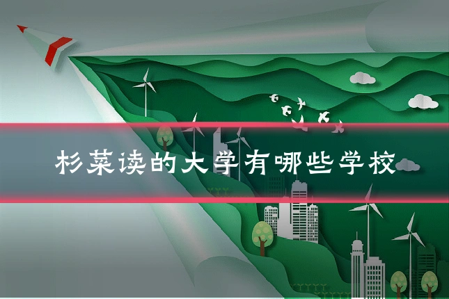 杉菜读的大学有哪些学校