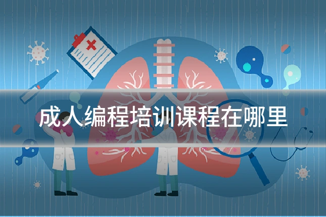成人编程培训课程在哪里