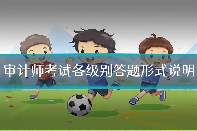 审计师考试各级别答题形式说明