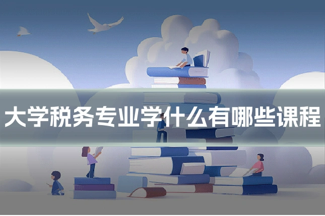 大学税务专业学什么有哪些课程