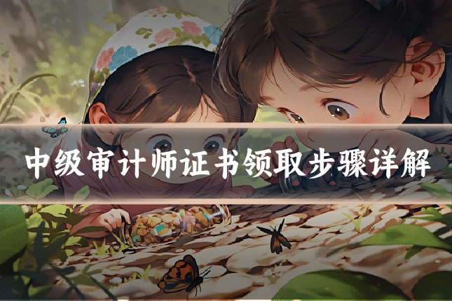 中级审计师证书领取步骤详解