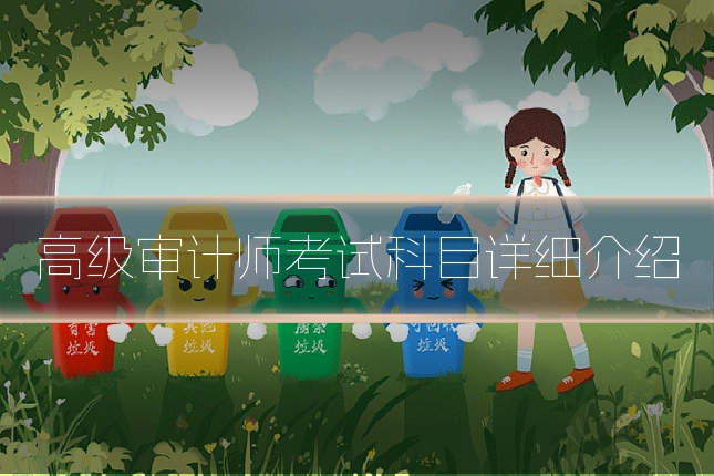 高级审计师考试科目详细介绍