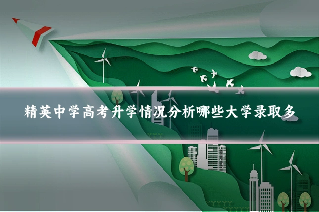 精英中学高考升学情况分析哪些大学录取多