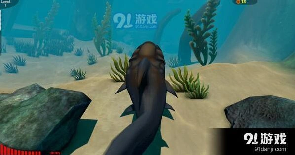 海底大猎杀玩不了 修复指南详解