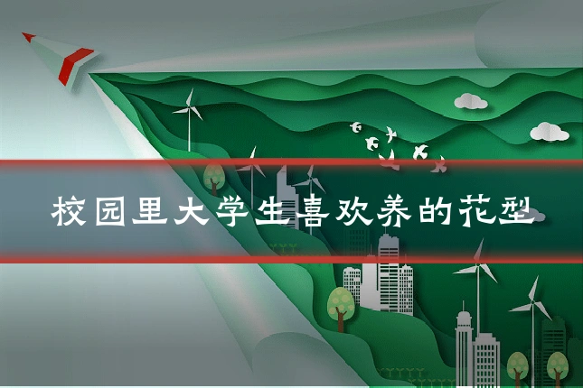 校园里大学生喜欢养的花型