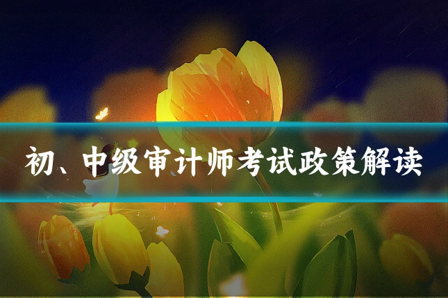 初、中级审计师考试政策解读