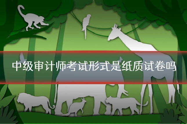 中级审计师考试形式是纸质试卷吗
