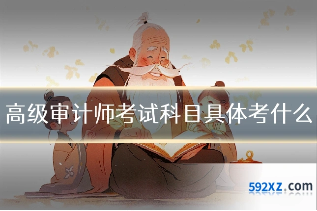 高级审计师考试科目具体考什么