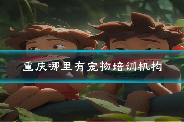 重庆哪里有宠物培训机构