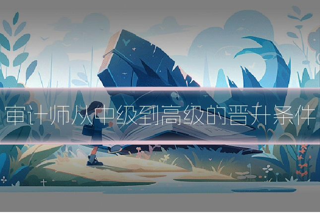审计师从中级到高级的晋升条件