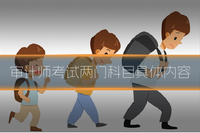 审计师考试两门科目具体内容