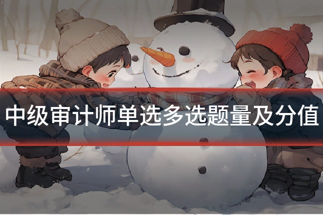中级审计师单选多选题量及分值