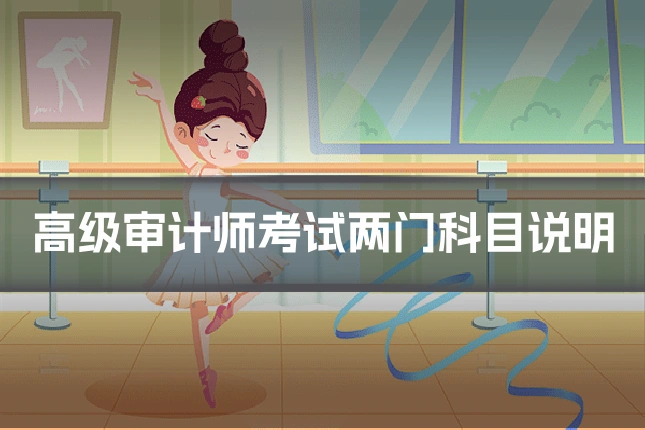 高级审计师考试两门科目说明