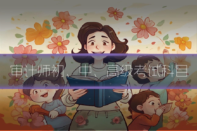 审计师初、中、高级考试科目