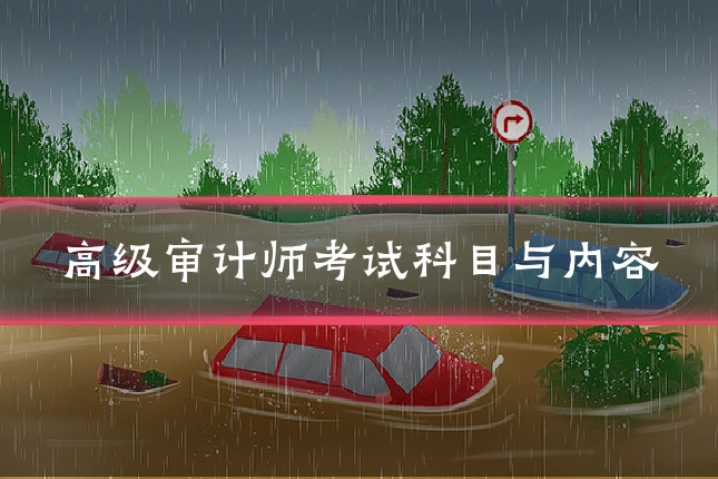 高级审计师考试科目与内容