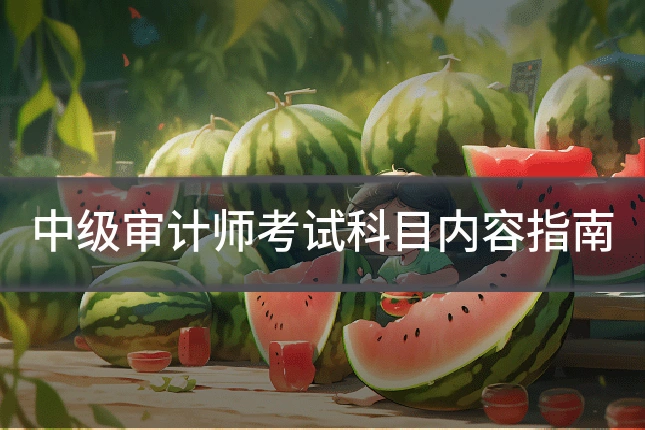 中级审计师考试科目内容指南