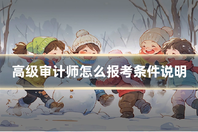高级审计师怎么报考条件说明