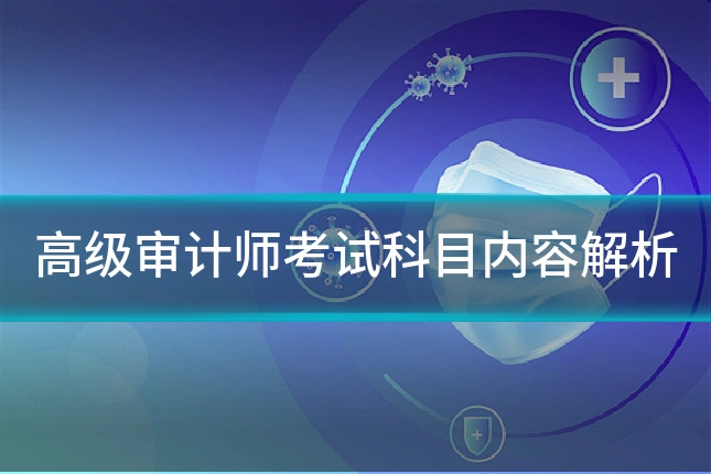 高级审计师考试科目内容解析