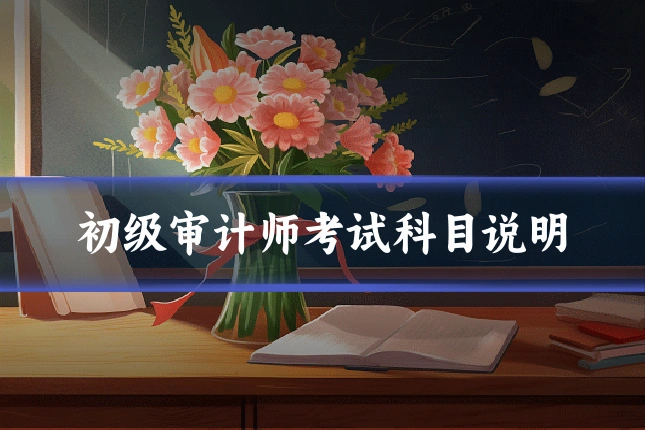 初级审计师考试科目说明