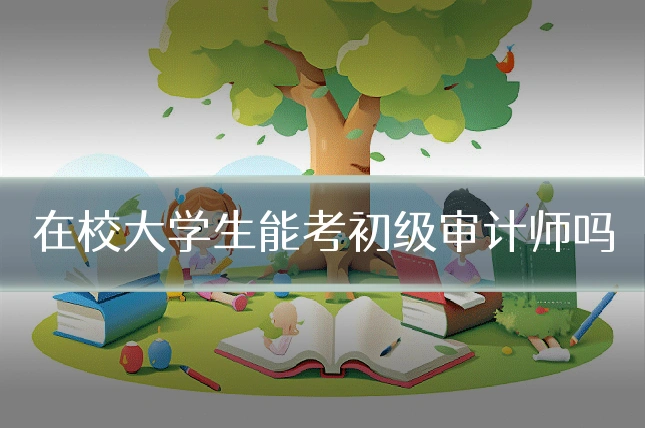 在校大学生能考初级审计师吗