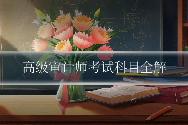 高级审计师考试科目全解