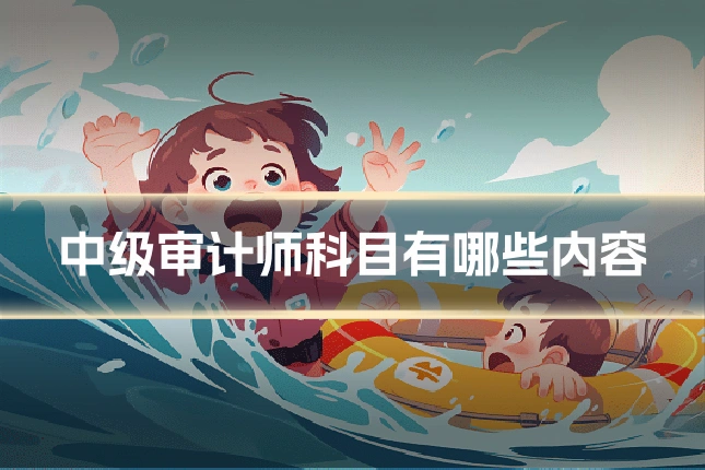 中级审计师科目有哪些内容
