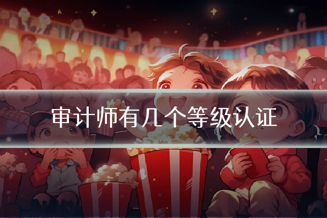 审计师有几个等级认证