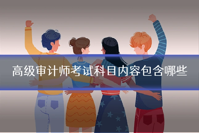 高级审计师考试科目内容包含哪些
