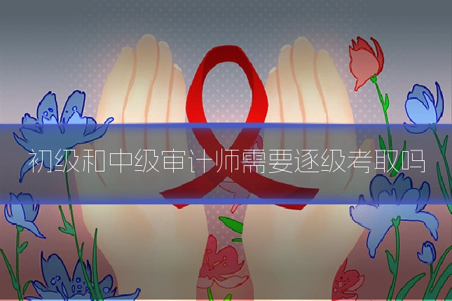 初级和中级审计师需要逐级考取吗