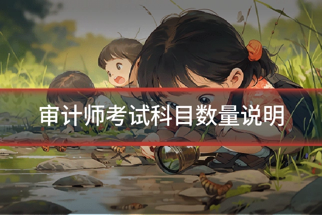 审计师考试科目数量说明