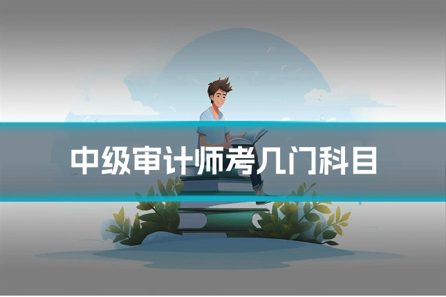 中级审计师考几门科目