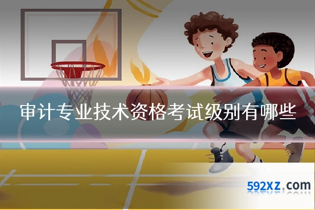 审计专业技术资格考试级别有哪些