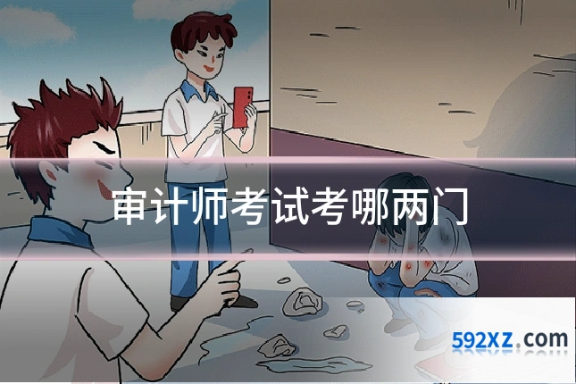 审计师考试考哪两门