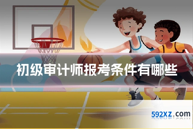 初级审计师报考条件有哪些