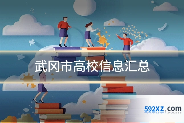 武冈市高校信息汇总