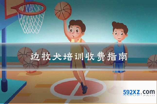 边牧犬培训收费指南