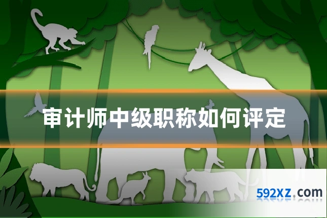 审计师中级职称如何评定