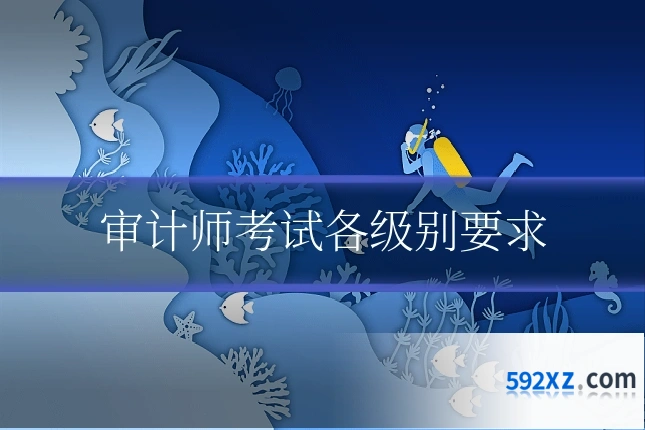 审计师考试各级别要求