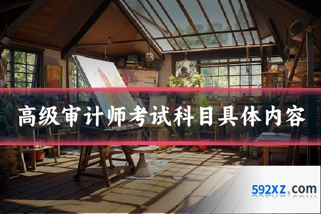 高级审计师考试科目具体内容