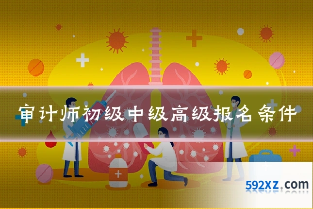 审计师初级中级高级报名条件