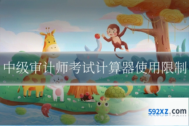 中级审计师考试计算器使用限制