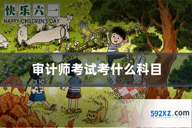 审计师考试考什么科目