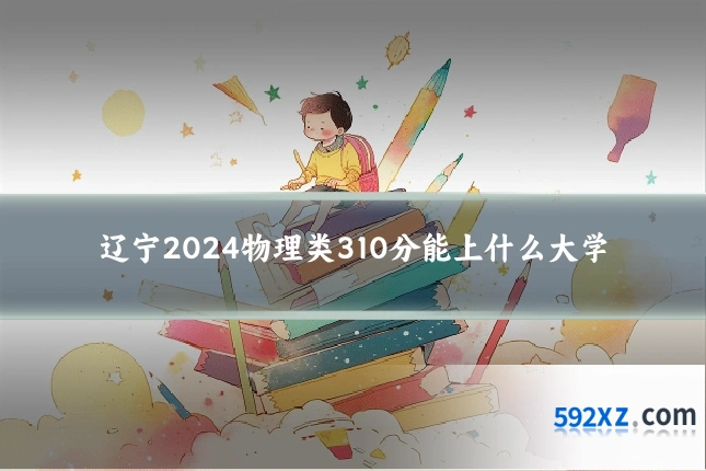 辽宁2024物理类310分能上什么大学