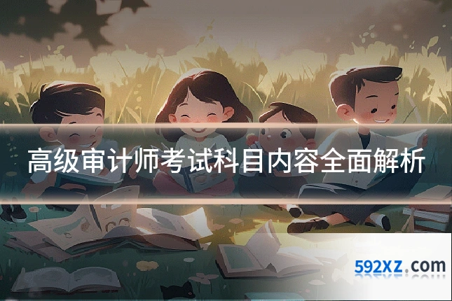 高级审计师考试科目内容全面解析