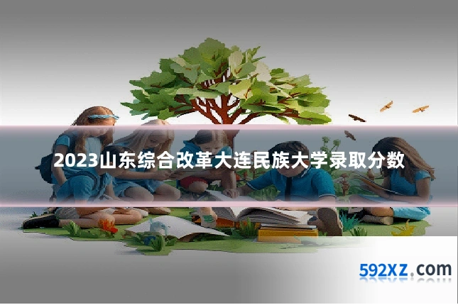 2023山东综合改革大连民族大学录取分数