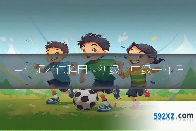 审计师考试科目:初级与中级一样吗