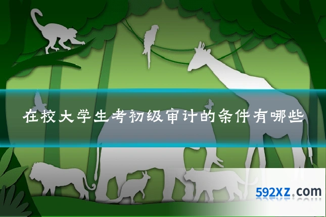 在校大学生考初级审计的条件有哪些