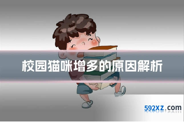 校园猫咪增多的原因解析