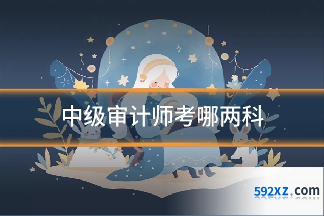中级审计师考哪两科